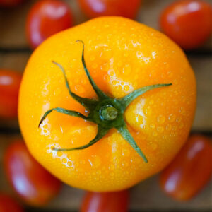 Yellow Plum Tomato